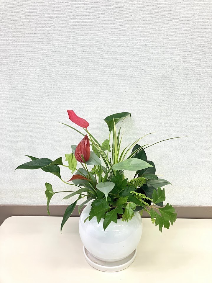 Tokyo-Azusa-Uriu-10